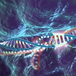 Gevaarlijke ontwikkeling: staat wil kweken menselijke embryo’s en aanpassingen DNA toestaan